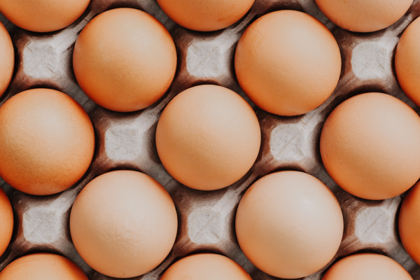 eggs